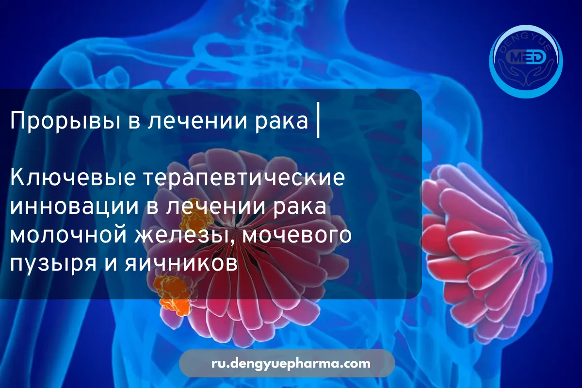 прорывы в лечении рака ключевые терапевтические инновации в лечении рака молочной железы, мочевого пузыря и яичников