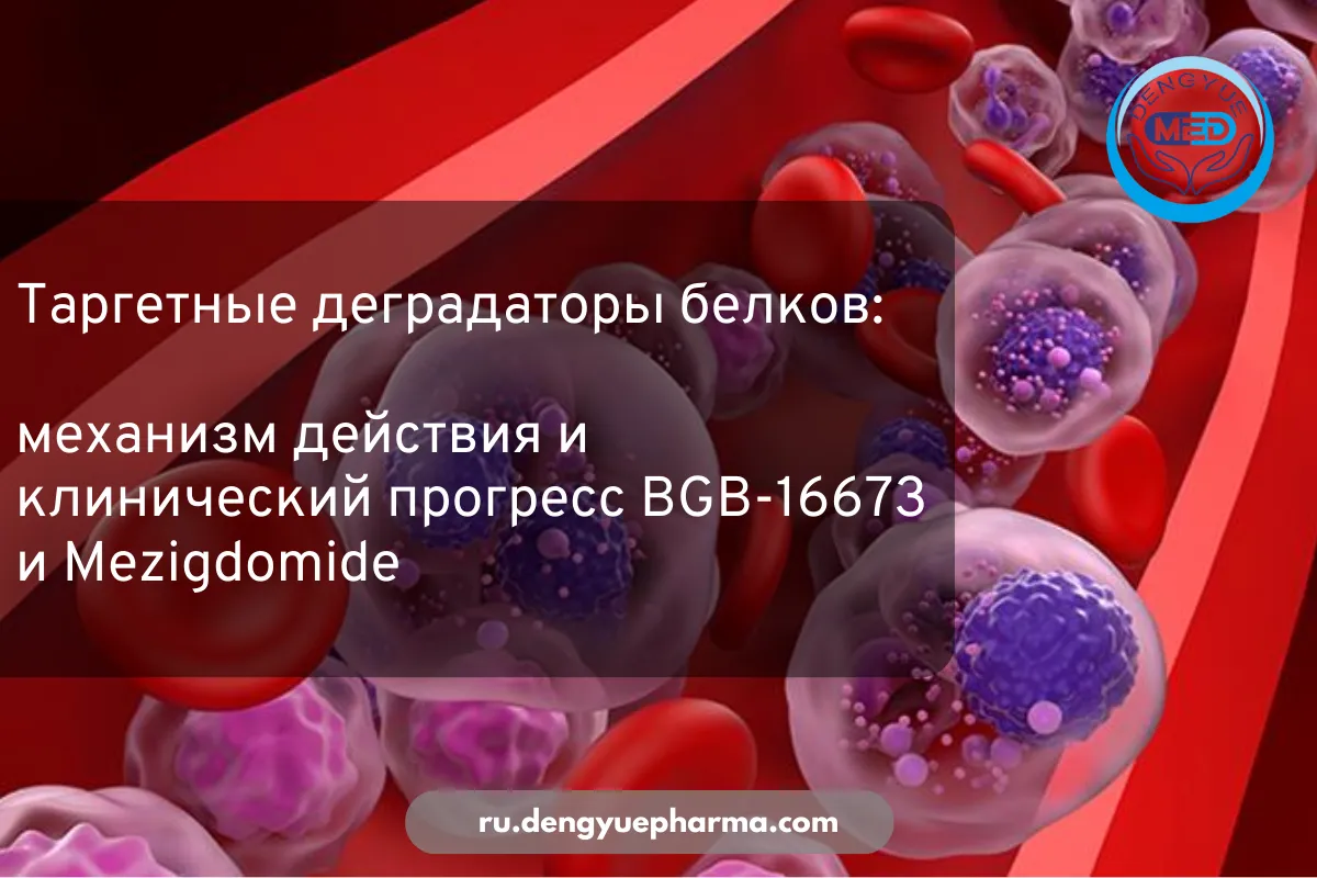 таргетные деградаторы белков механизм действия и клинический прогресс BGB-16673 и mezigdomide