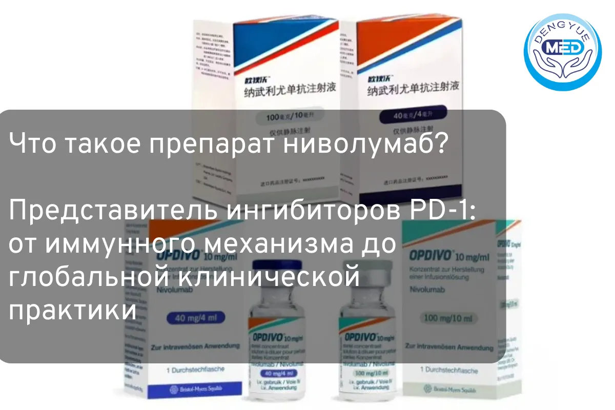 Что такое препарат ниволумаб? Представитель ингибиторов PD-1: от иммунного механизма до глобальной клинической практики