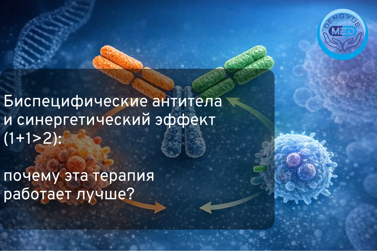 Биспецифические антитела и синергетический эффект (1+1>2): почему эта терапия работает лучше?