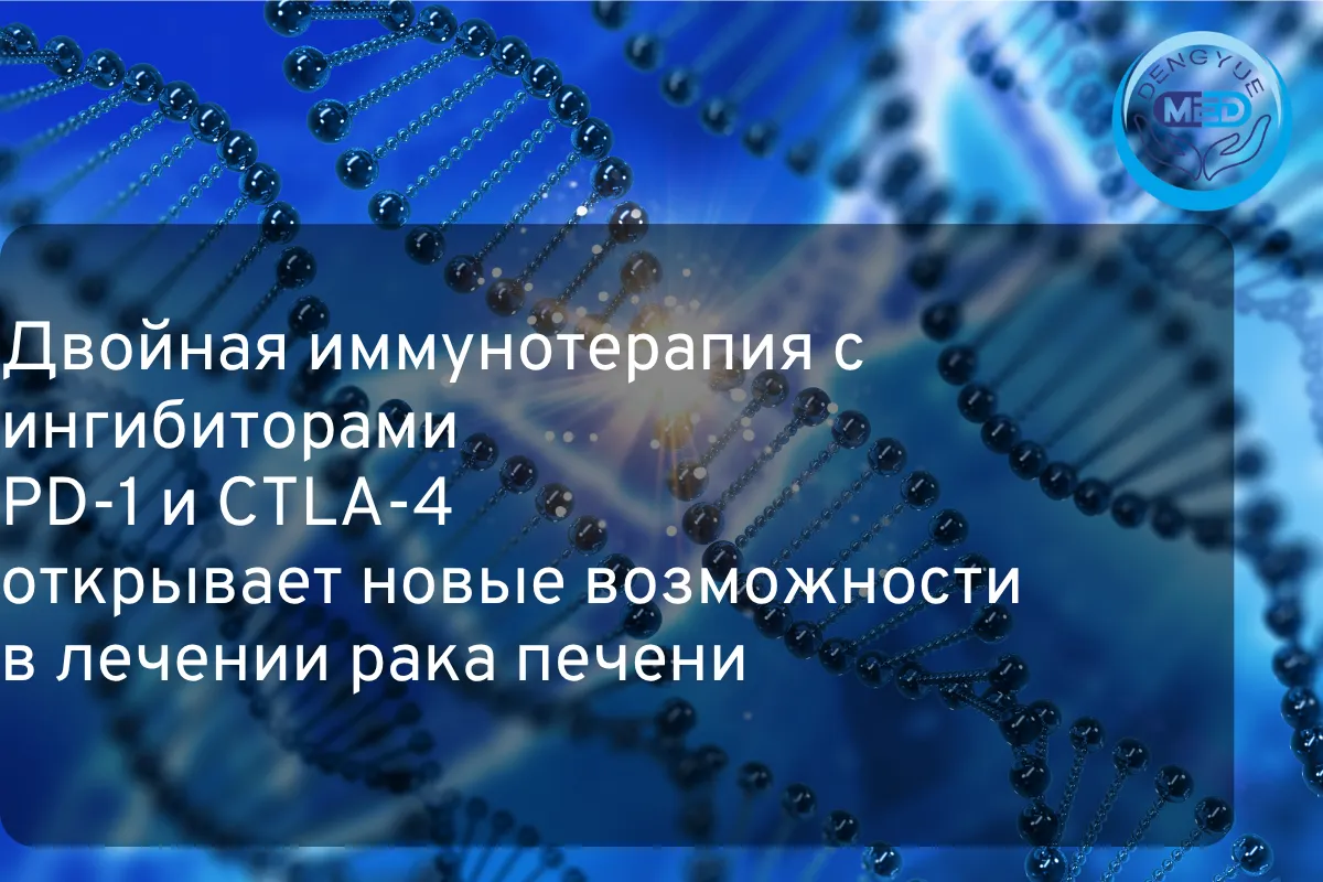 Двойная иммунотерапия с ингибиторами PD-1 и CTLA-4 открывает новые возможности в лечении рака печени
