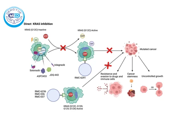 онкология новый прорыв в терапии kras g12c