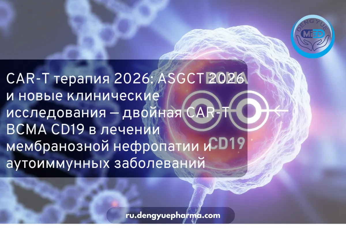 car-t терапия 2026 asgct 2026 и новые клинические исследования — двойная car-t bcma cd19 в лечении мембранозной нефропатии и аутоиммунных забо