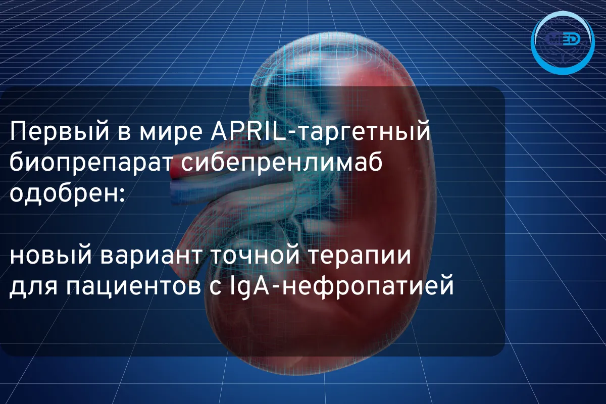 Первый в мире APRIL-таргетный биопрепарат сибепренлимаб одобрен: новый вариант точной терапии для пациентов с IgA-нефропатией