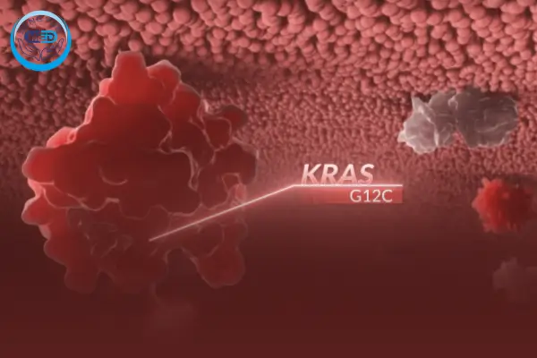 успех kras g12c начало новой эпохи таргетной терапии kras