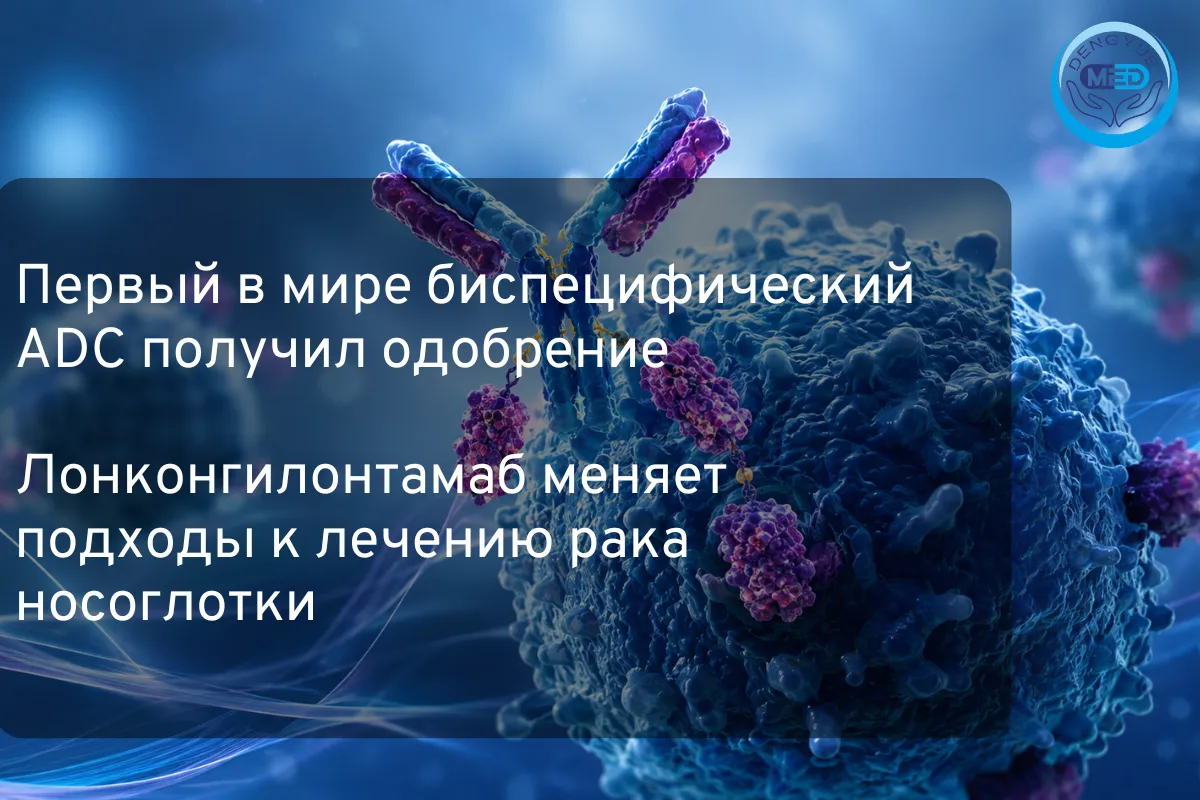Первый в мире биспецифический ADC получил одобрение: Лонконгилонтамаб меняет подходы к лечению рака носоглотки